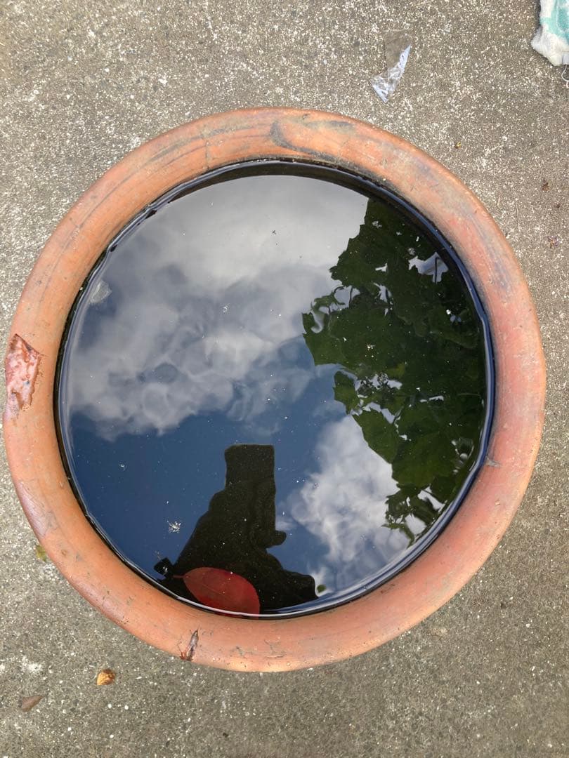 【古美術】大型 黒釉 陶器 甕 / 壺 時代物 庭園・和風インテリアに。58㎝