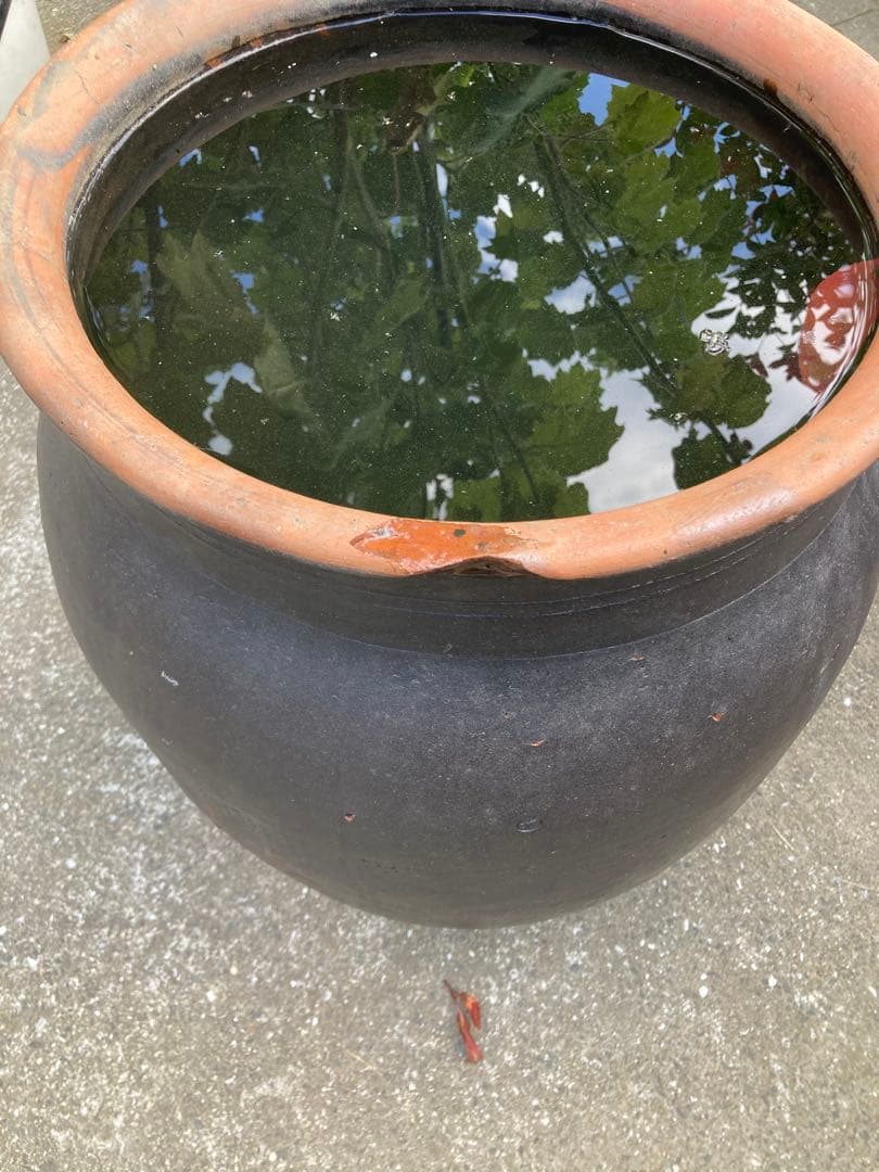 【古美術】大型 黒釉 陶器 甕 / 壺 時代物 庭園・和風インテリアに。58㎝