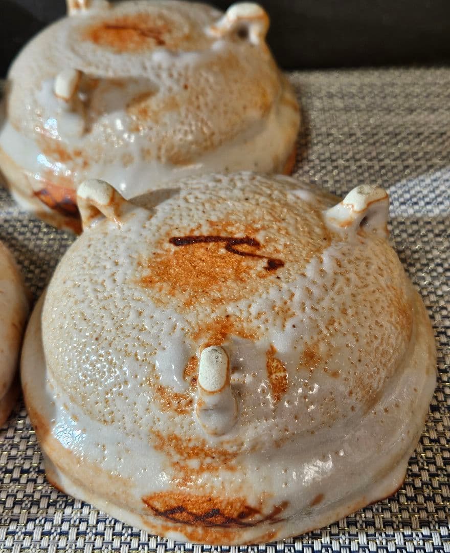 志野焼　水野輝幸 作　草文　向付　4客 共箱　茶道具　未使用品！　径14.4cm