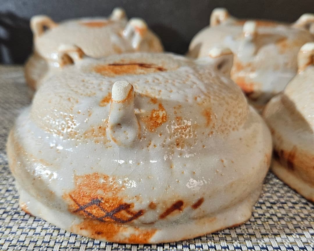 志野焼　水野輝幸 作　草文　向付　4客 共箱　茶道具　未使用品！　径14.4cm