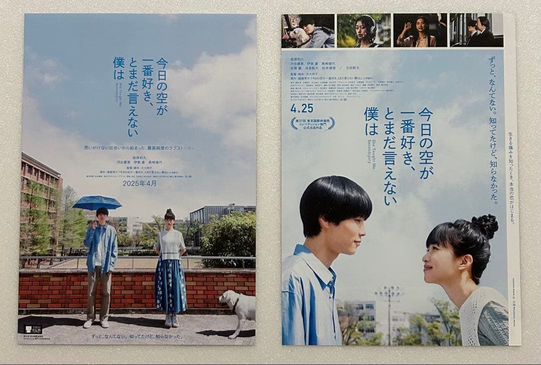 萩原利久 出演 映画チラシ フライヤー