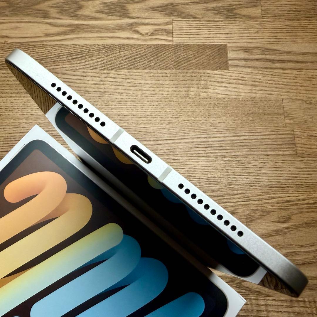 美品 iPad mini スターライト 256GB Celluer SIMフリー