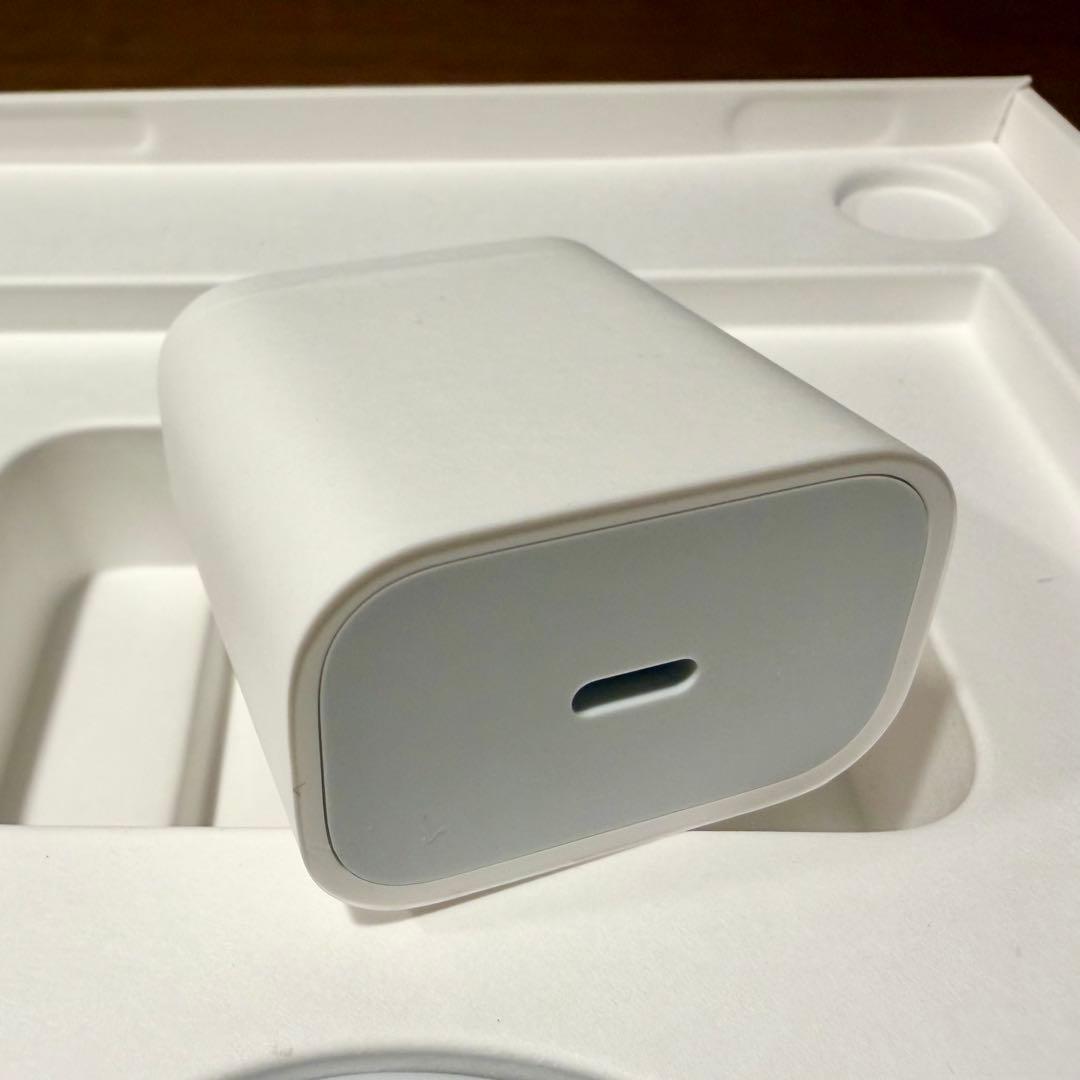 美品 iPad mini スターライト 256GB Celluer SIMフリー