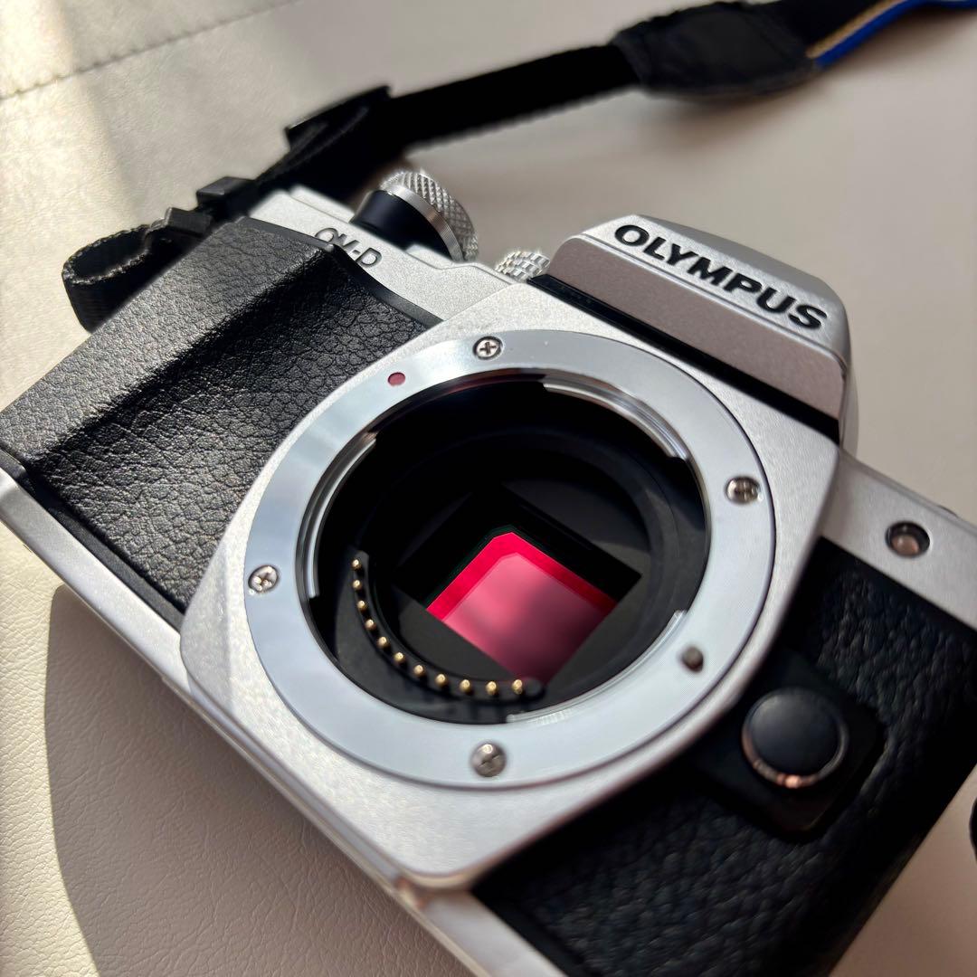 【専用】OLYMPUS OM-D E-M10 MarkⅡ ダブルズームキット