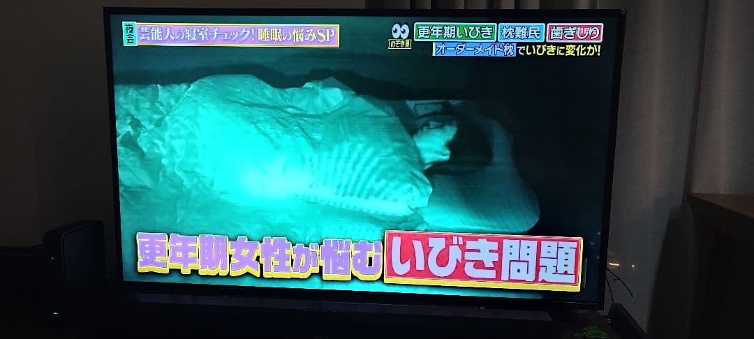 ジャンクSONY KDL-48W600B軽い‼︎液晶テレビ48インチ
