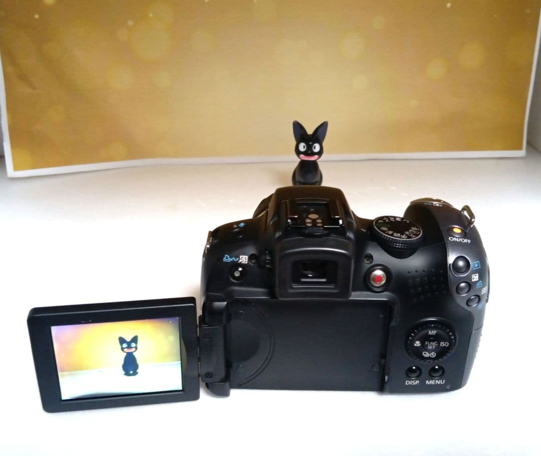 Teo様　Canon PowerShot SX10 IS デジカメ　コンデジ