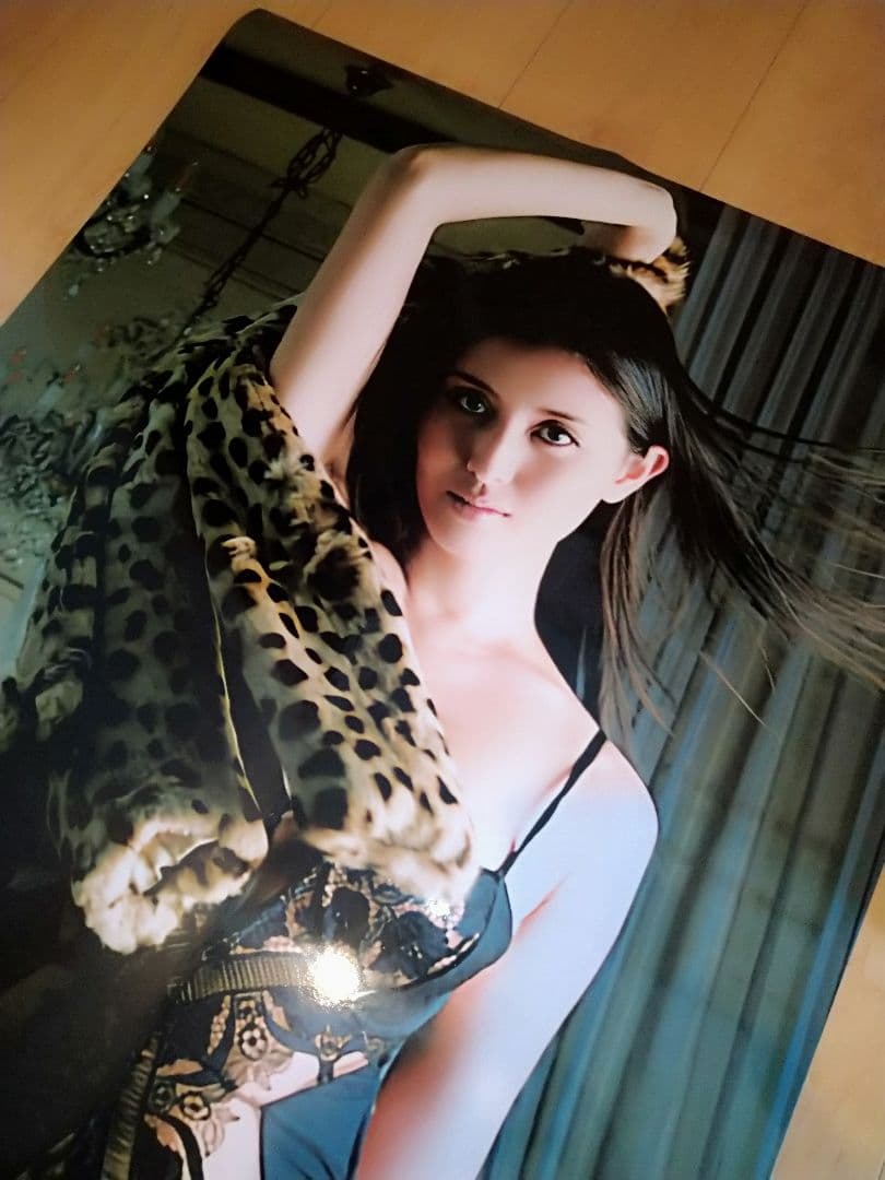限界突破極限迄値下げしました/完売必死　橋本マナミ　⑫　等身大ポスター　未使用