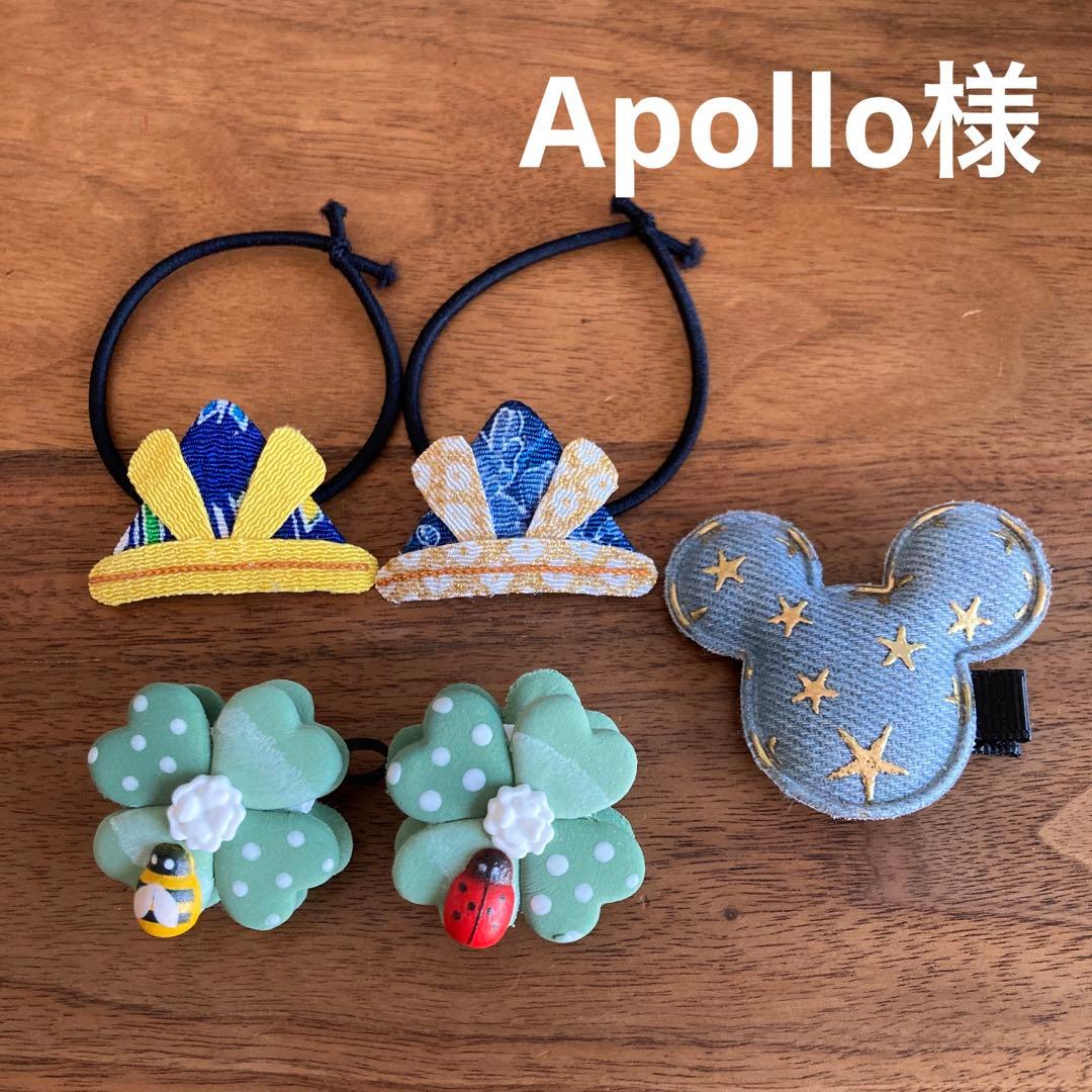 Apollo様ご確認用☆ベビーヘアクリップ　ヘアゴム