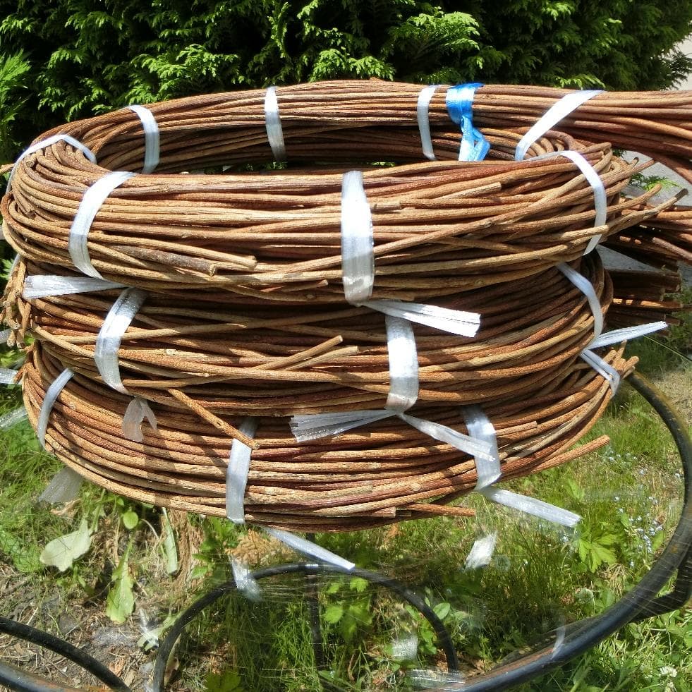 なつ（╹◡╹）♡ 青森県岩木山採取　あけび蔓　150cm～　3kg　太い蔓