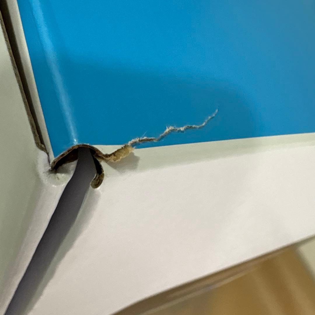 ブラーバジェットm6 限定カラー床拭きロボット