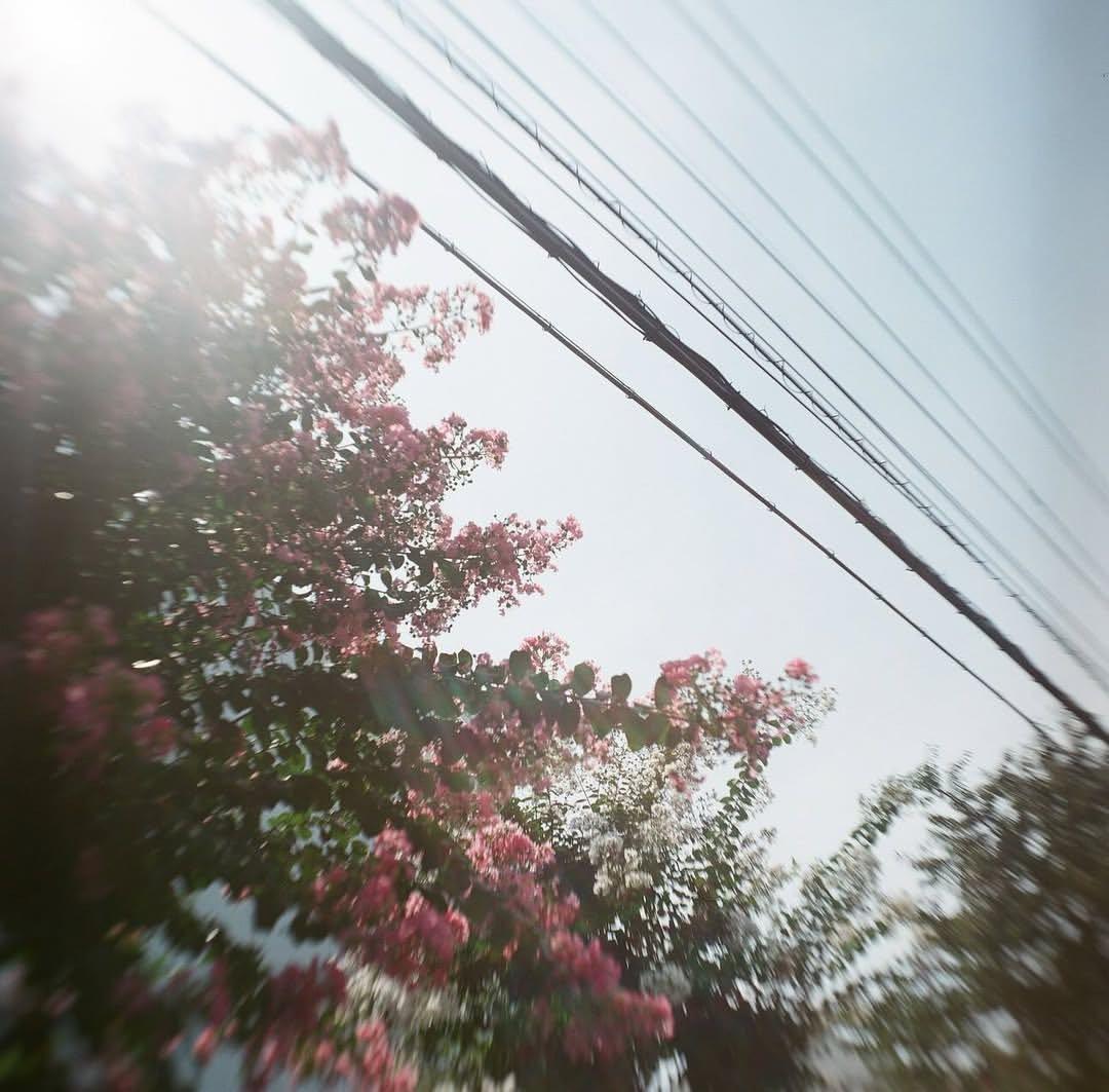Mamiya C3 ＋sekor 65mm f3.5