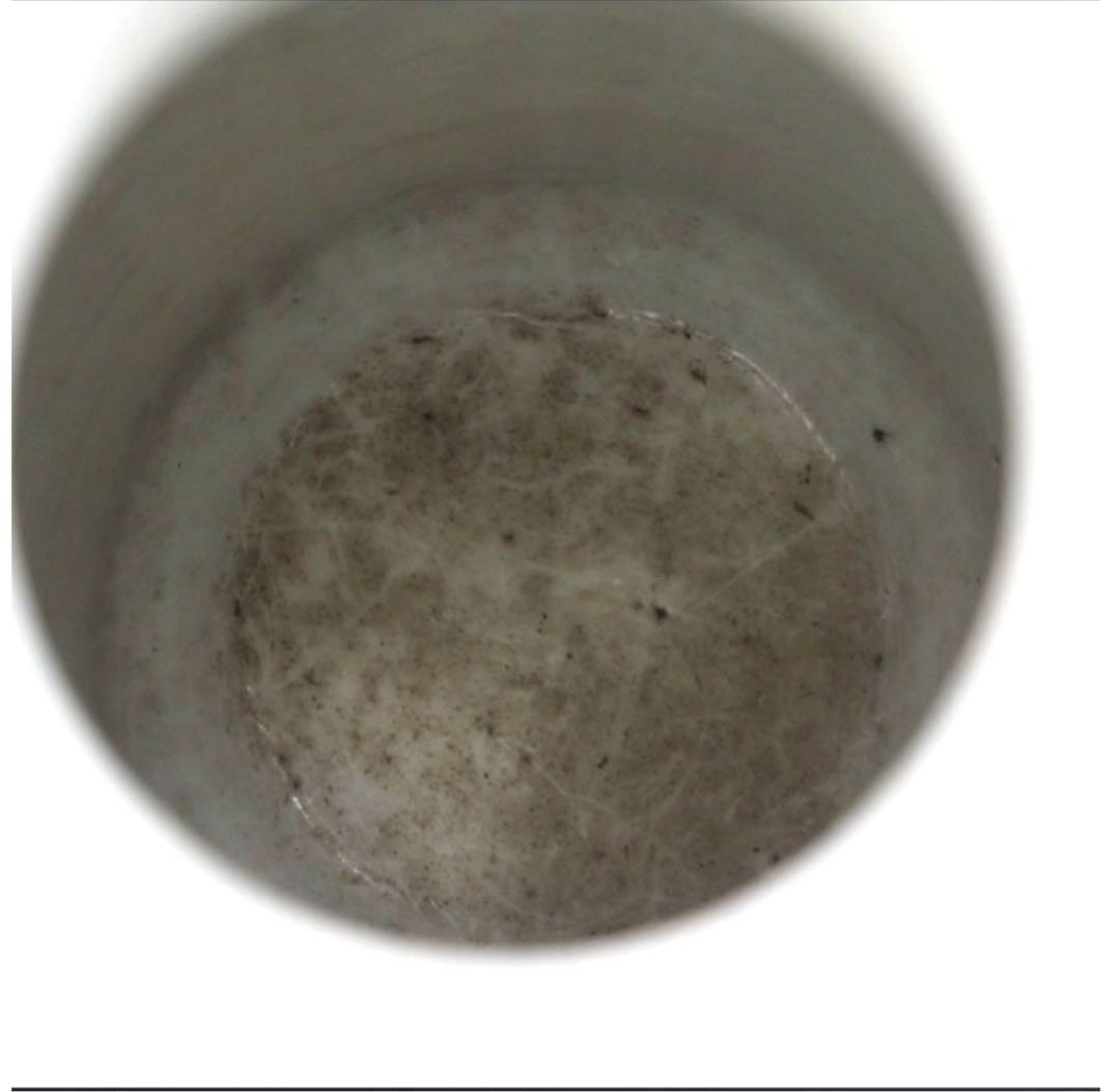 送料無料　清時代　陰刻梅花文花瓶　高さ23ｃｍ　本物保証