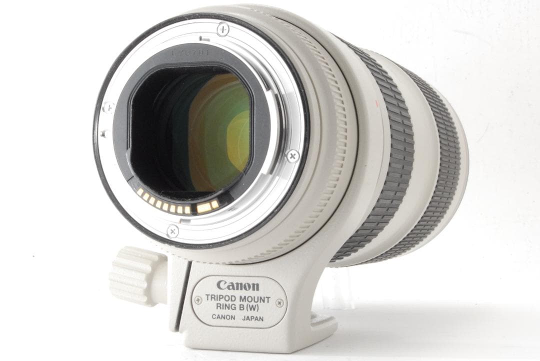 キャノン Canon EF 70-200mm F2.8 L IS II USM