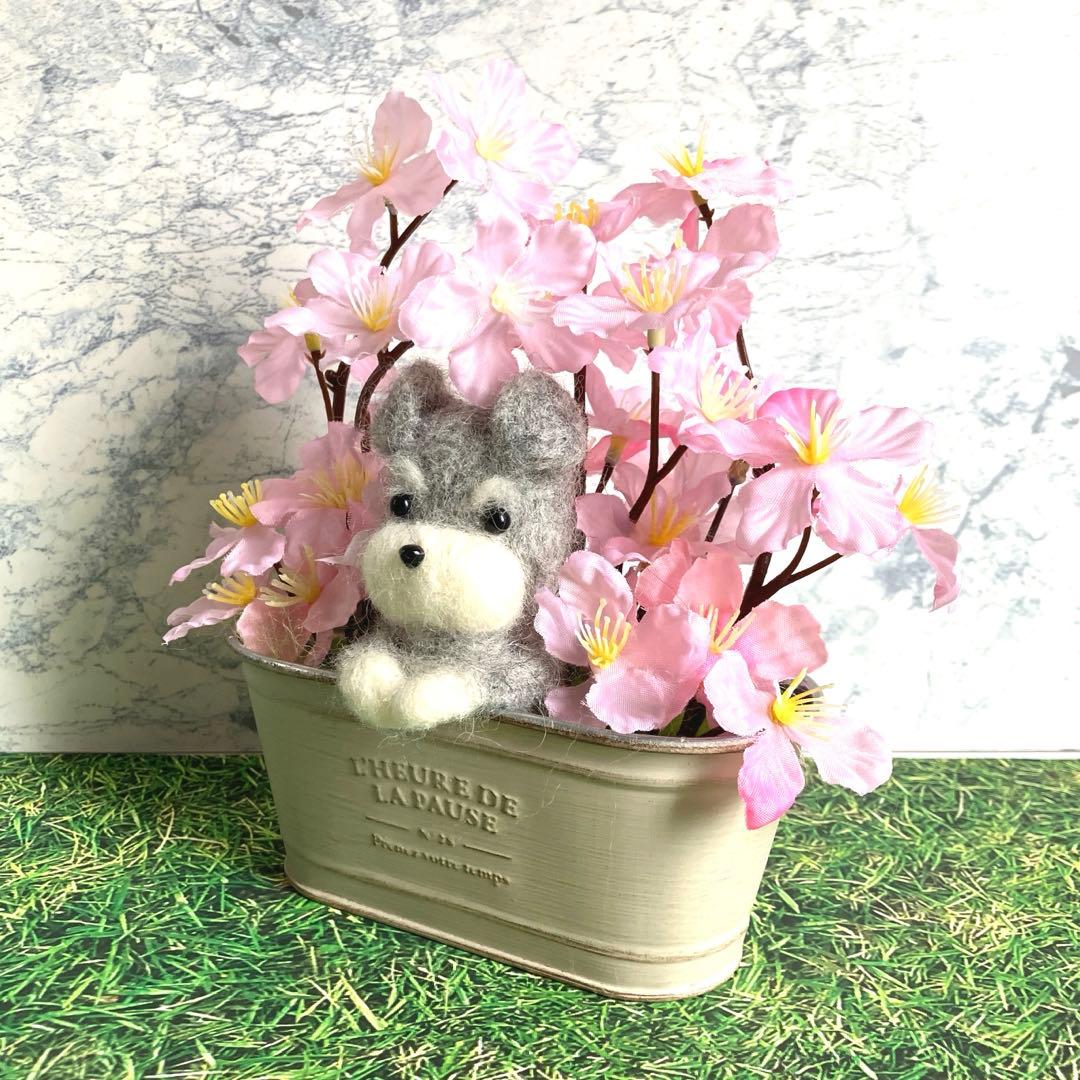羊毛フェルト 犬 シュナウザー 桜 専用