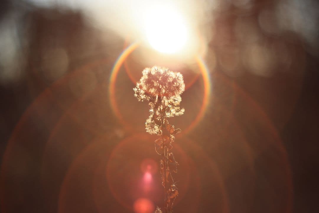 Super-Takumar 55mm F1.8 後期型 S/N：4053176