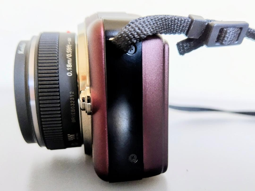 Panasonic LUMIX DMC-GF3 ミラーレス一眼