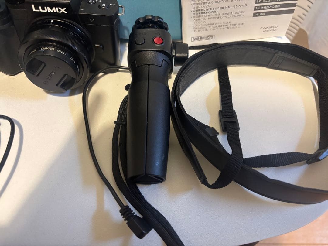 【美品】LUMIX DC-G100V ミラーレス コンパクト一眼