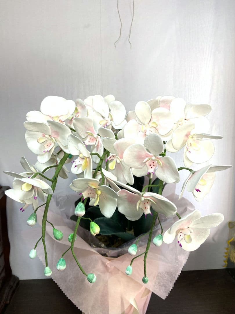ハンドメイド樹脂粘土で作った胡蝶蘭