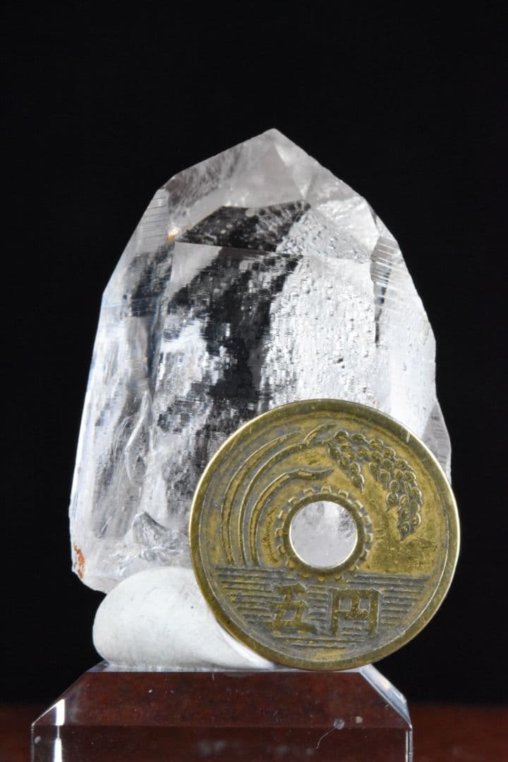 インドメルー産 クリアポイント 自立02