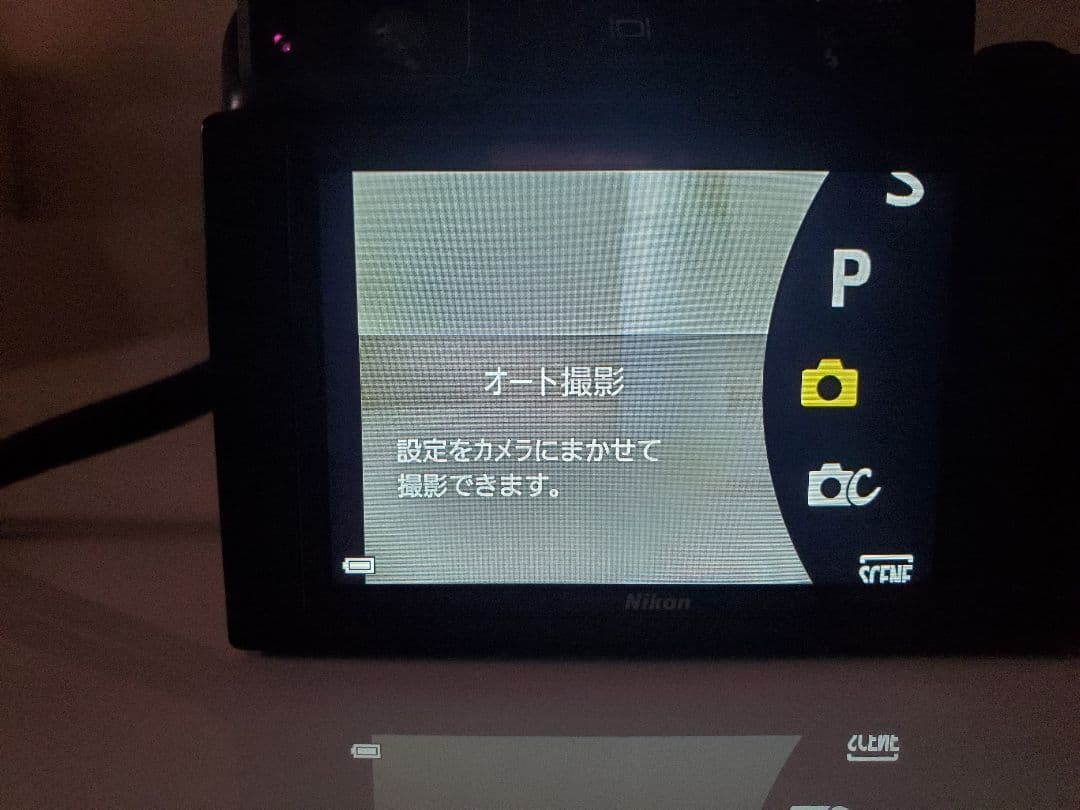 週末限定お値下げNikon COOLPIX A1000 コンパクトデジタルカメラ