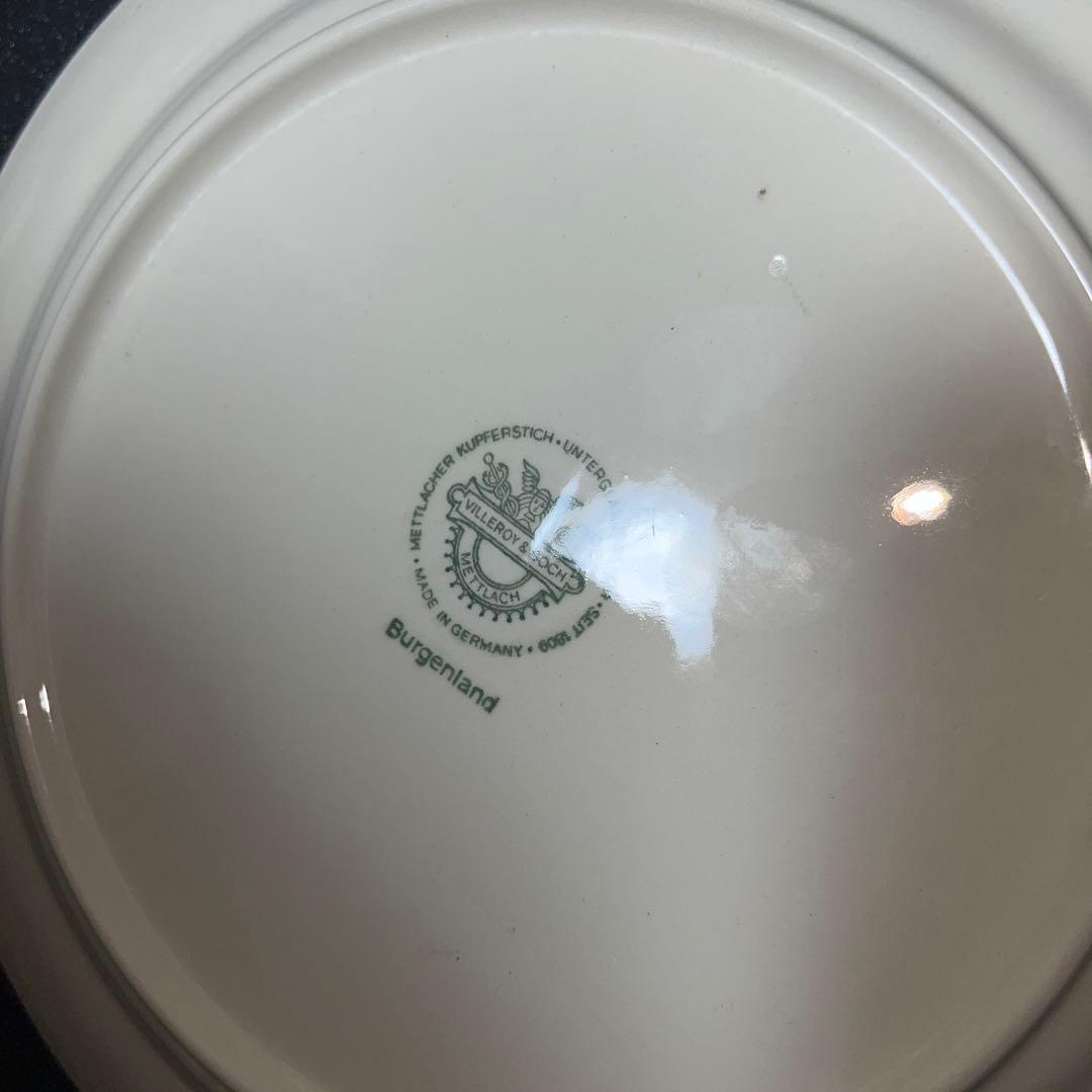 橋B ビレロイ＆ボッホ ブルゲンランド ディナープレート 4枚 25cm