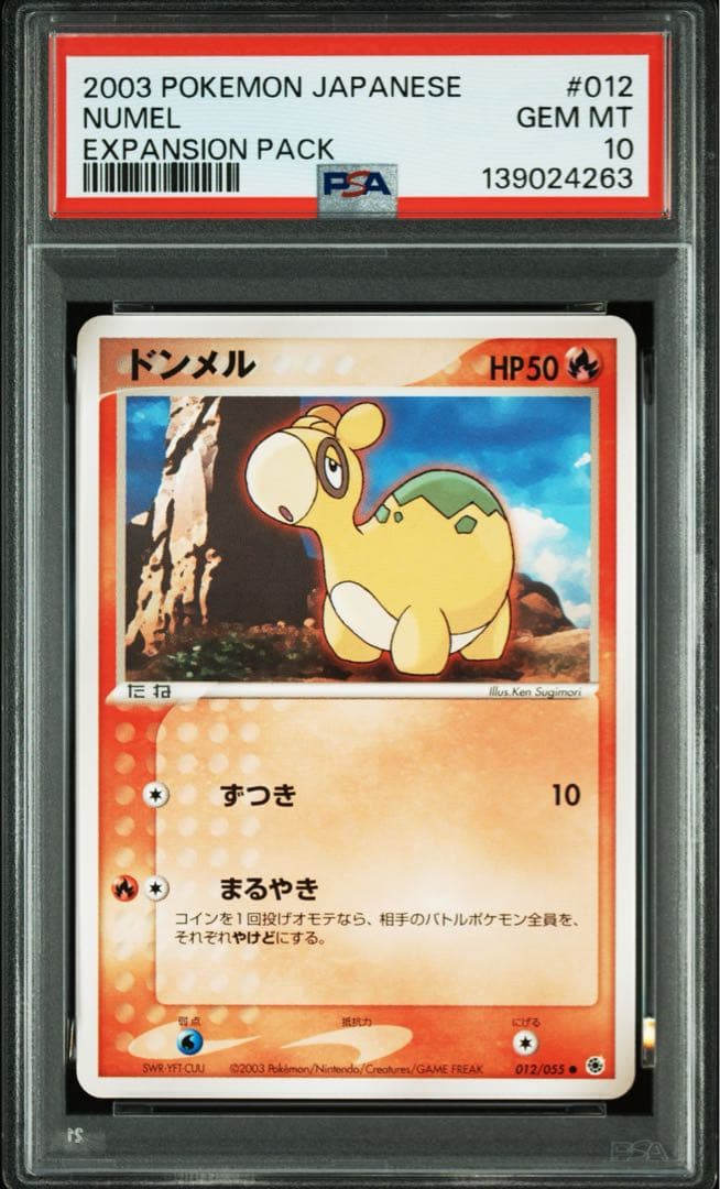 世界に1枚 2003年発売 PSA鑑定品 ポケモンカード ドンメル● PSA10