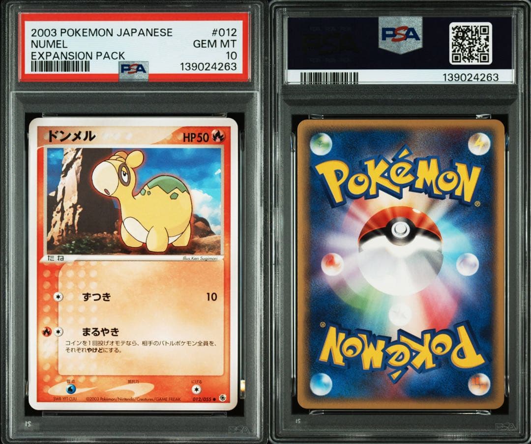 世界に1枚 2003年発売 PSA鑑定品 ポケモンカード ドンメル● PSA10