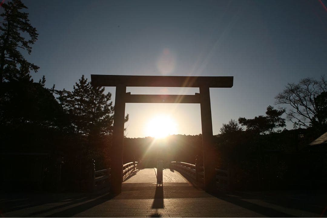 【日本銘石】神宮御山杉　太珠　極 勾玉 PT 大