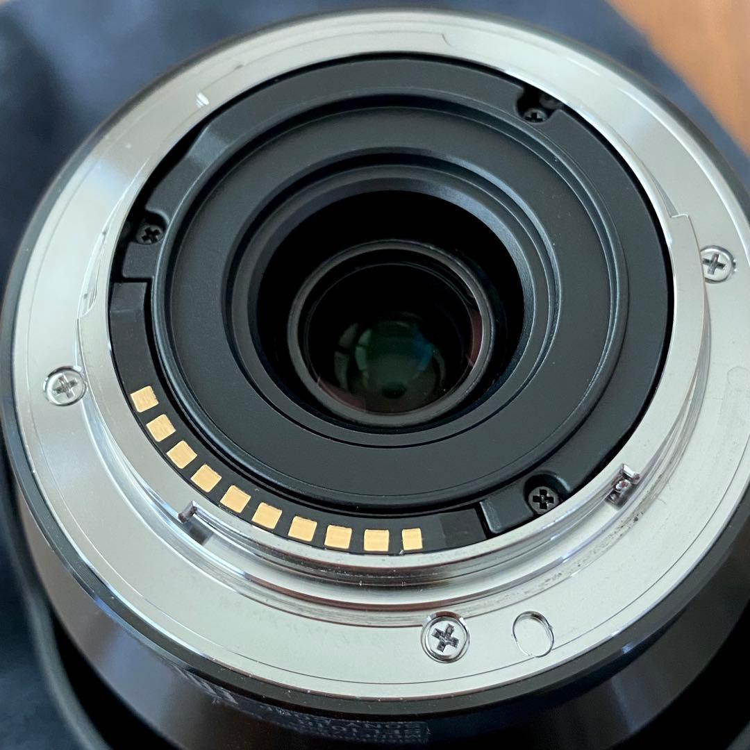 SONY E10-18mm F4 OSS (SEL1018) 超広角ズームレンズ