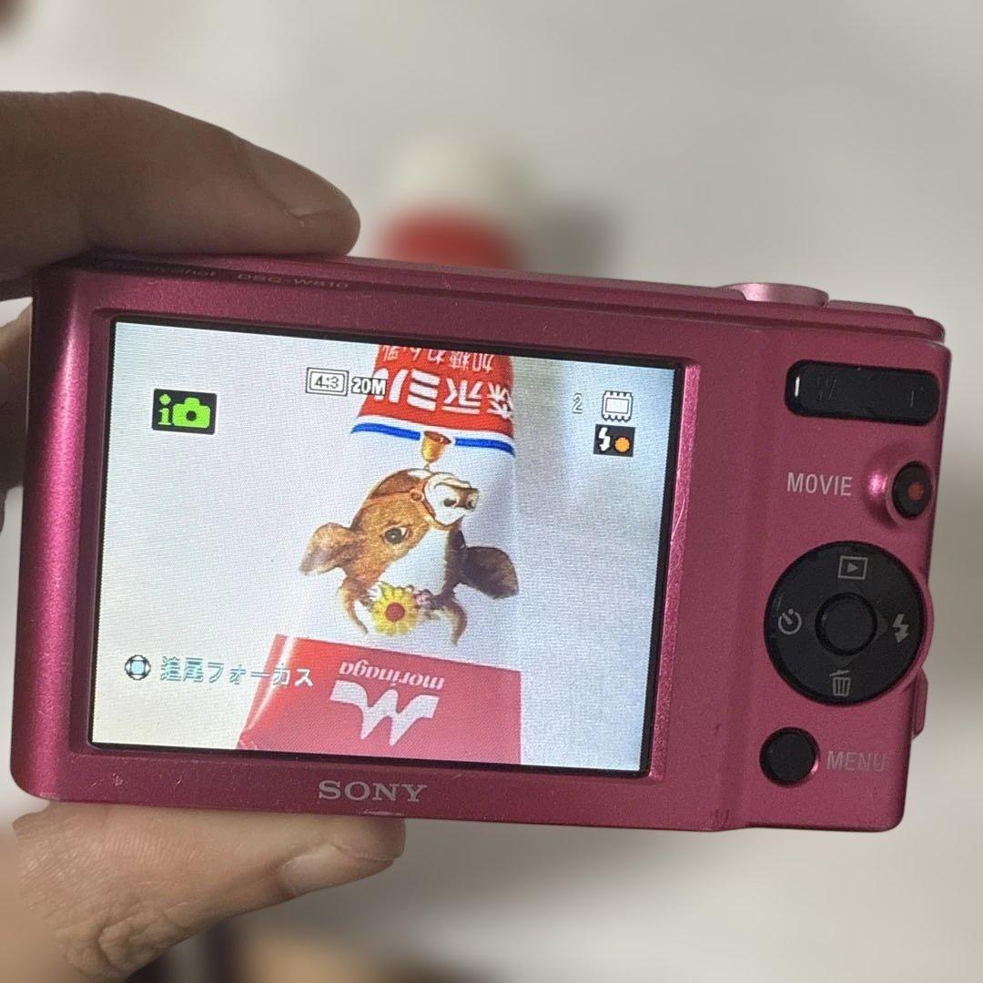 ❗️激安価格❗️デジカメ　本体　SONY DSC-W810