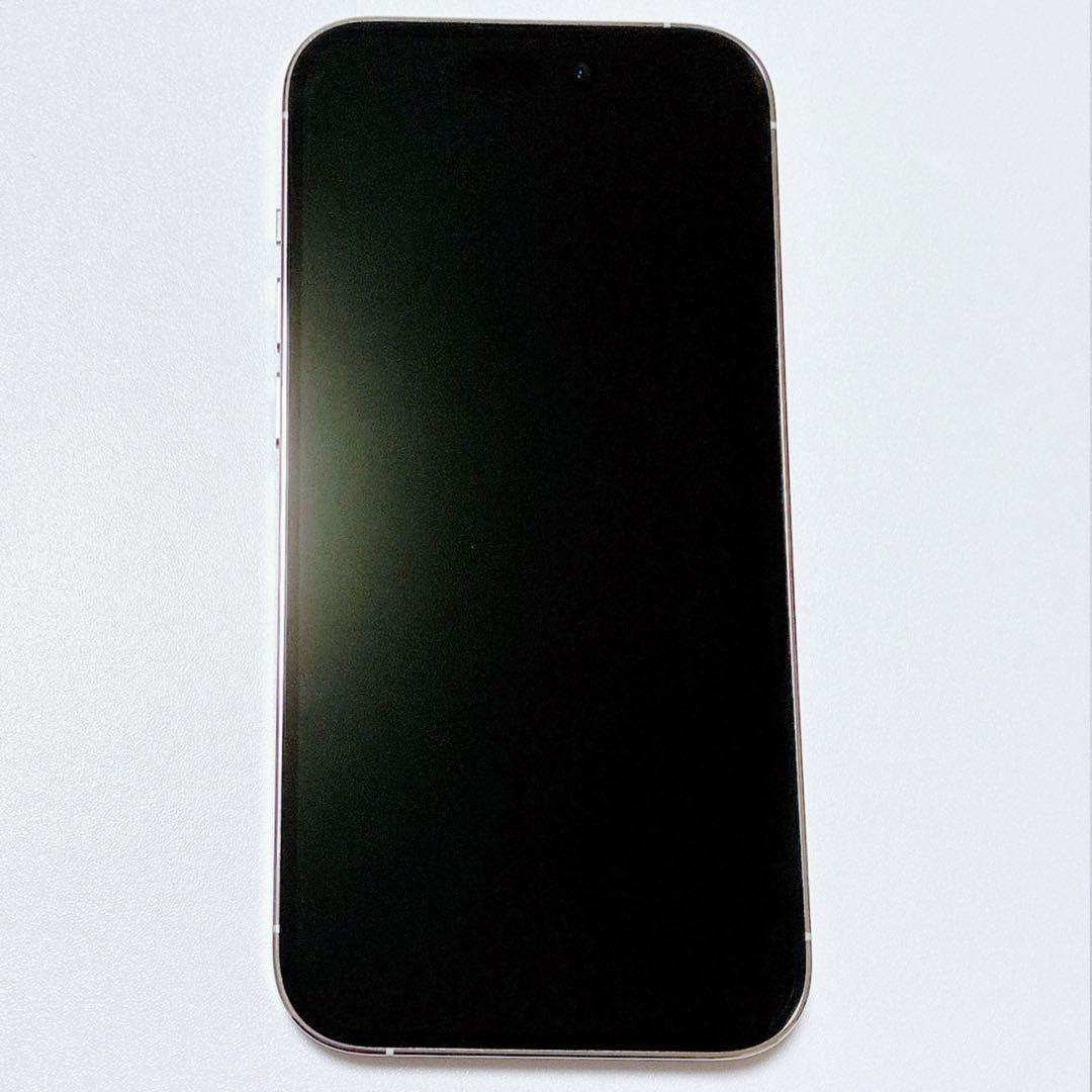 iPhone 14 Pro 256GB シルバー 本体 本体のみ Apple