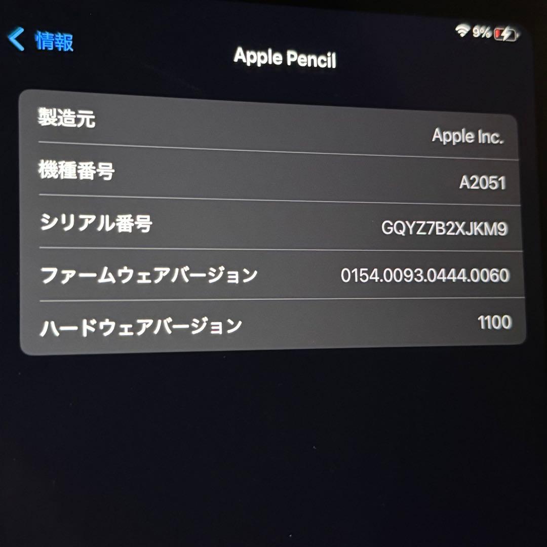 iPad Pro 11インチ256GB + Apple Pencil 第2世代