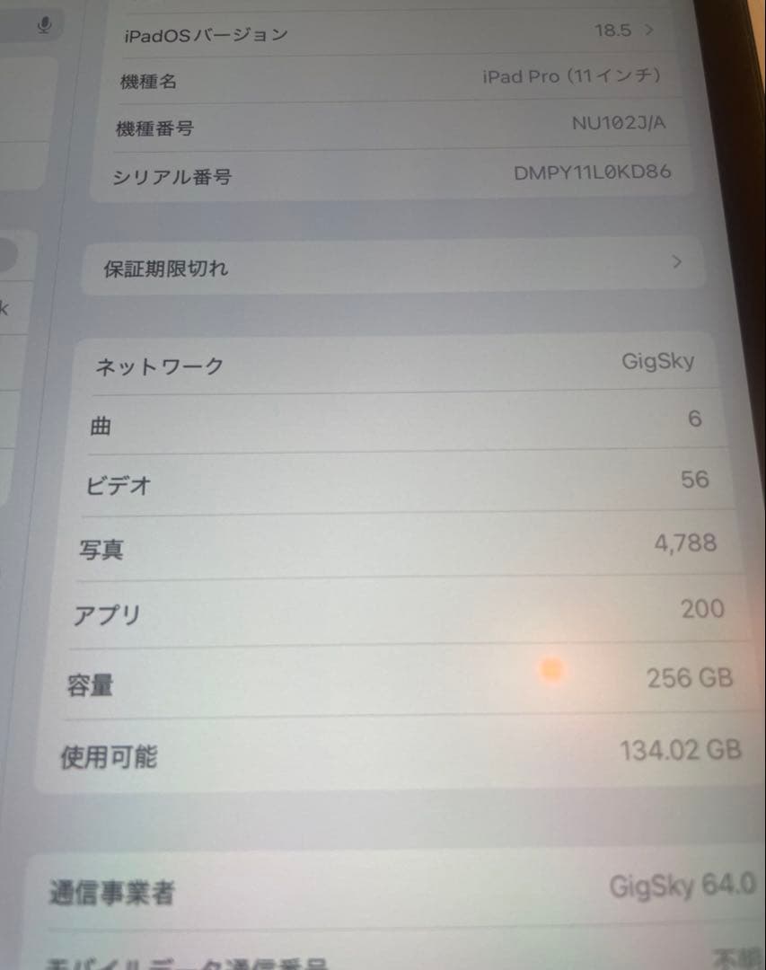 iPad本体 iPad Pro 11 Wi-Fi + Cellular 256GB