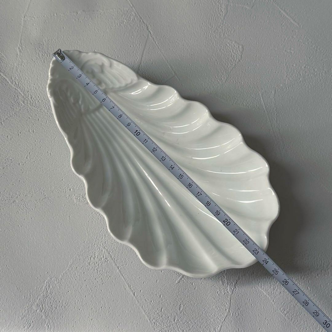 フランス　ラヴィエ　シェル