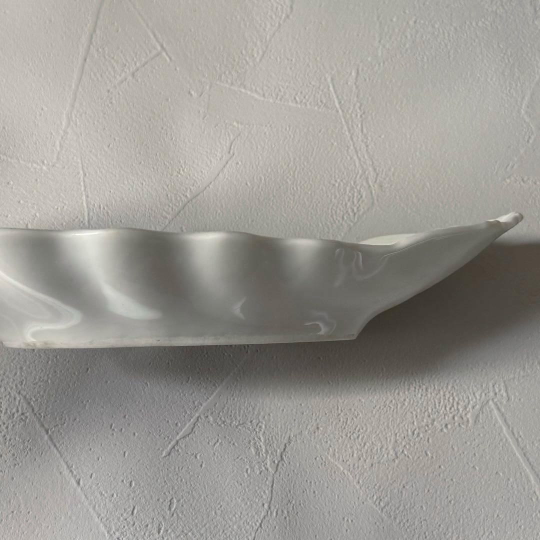 フランス　ラヴィエ　シェル