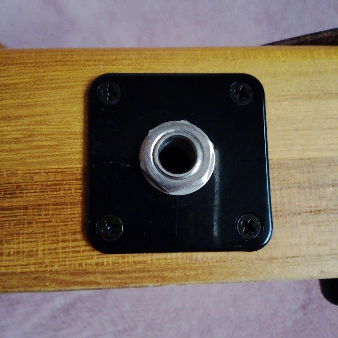 全音 楽譜 出版社 ZEN ON 電気 大正琴 彩 いろどり E ハードケース