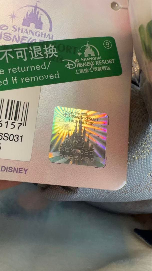 専用　上海ディズニー　10周年　ダッフィー&シェリーメイ　ぬいぐるみSS