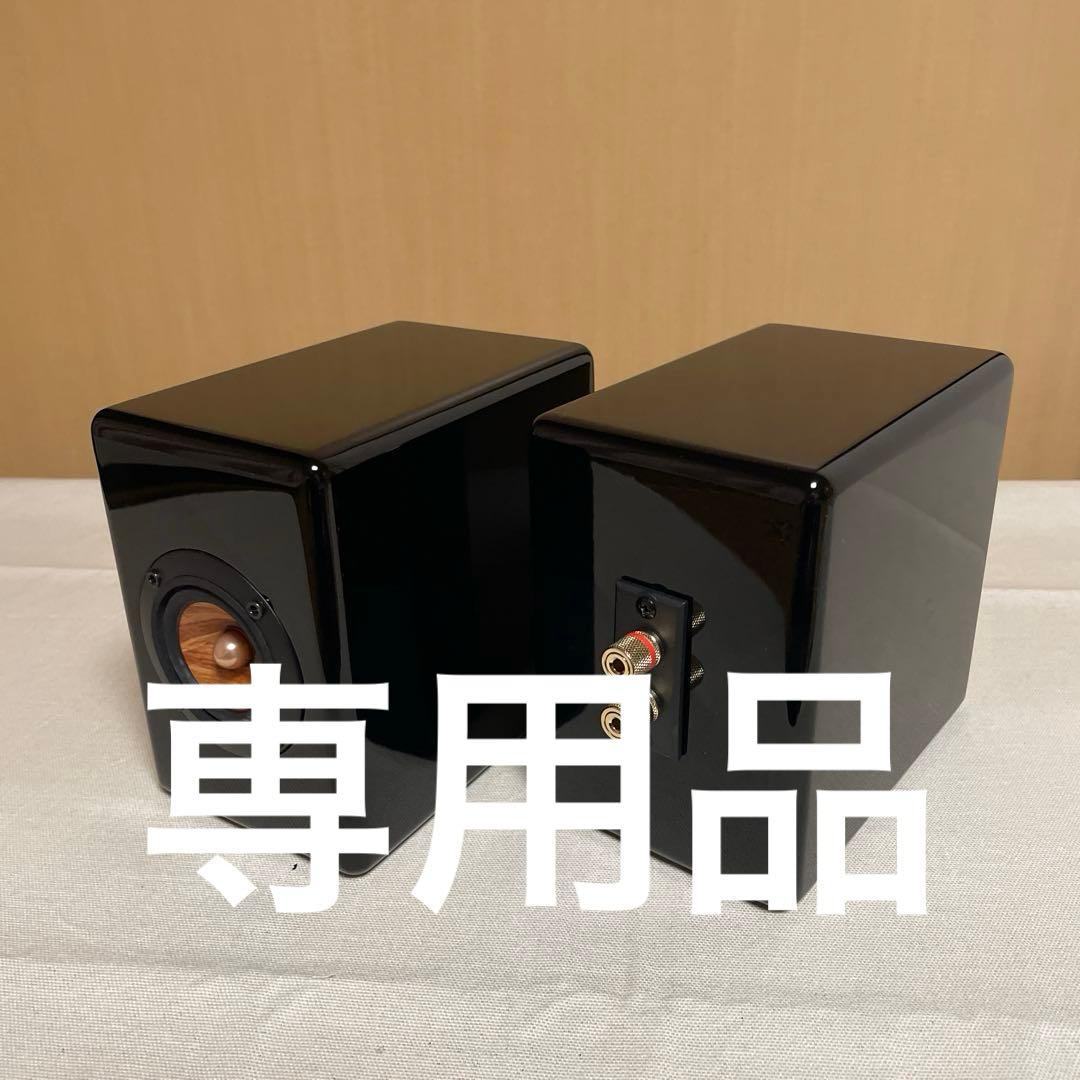小型木製筐体 自作スピーカー ペア 5cmウッドコーン 黒塗装 研磨品