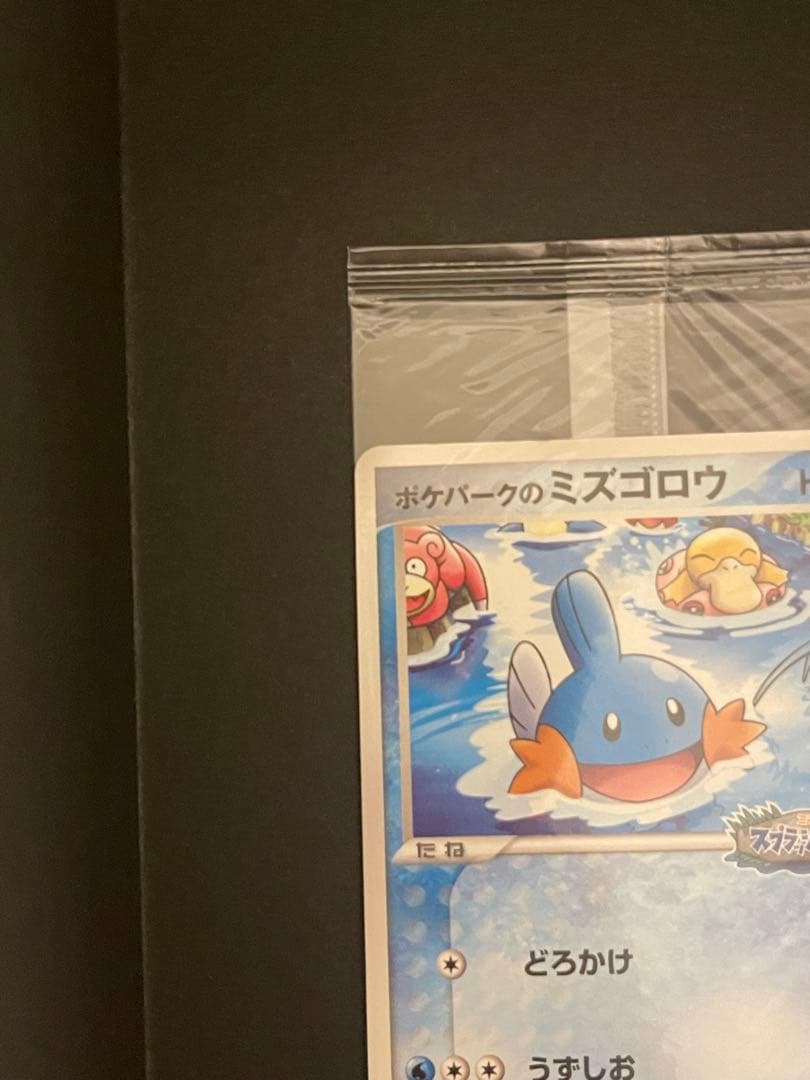 ポケモンカード　ポケパークのミズゴロウ　プロモ　未開封　048/PCG-P ①