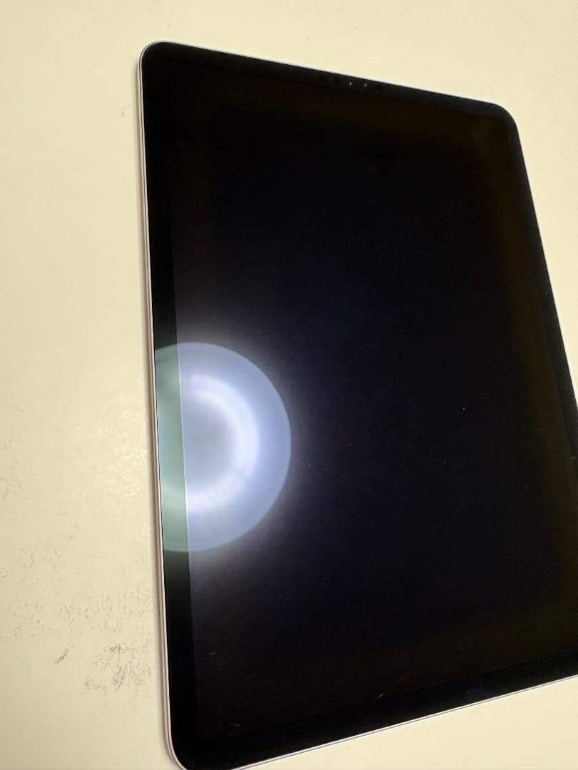 iPad Pro (11インチ)(第2世代) グレー　本体のみ