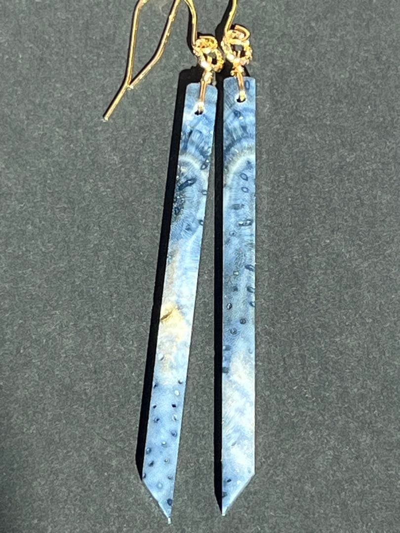 ＊14kgf 希少ブルーフォッシルコーラル ロングスティックピアス