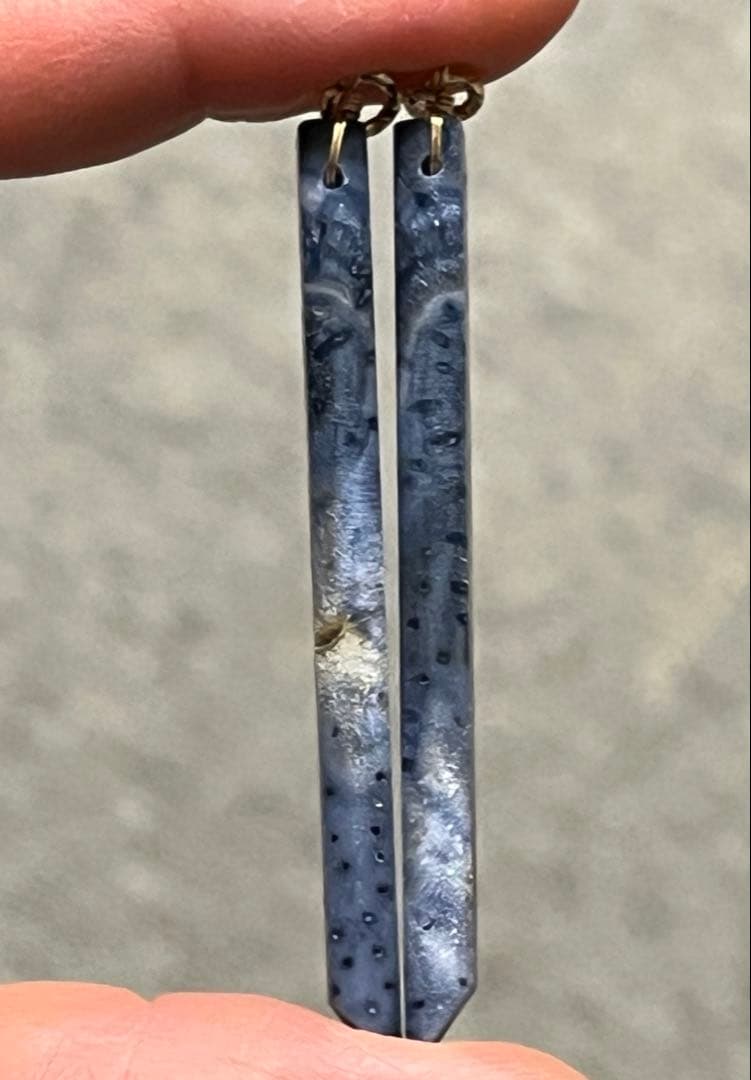 ＊14kgf 希少ブルーフォッシルコーラル ロングスティックピアス