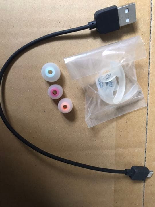 ヘッドホン SONY WF-SP700N(W)