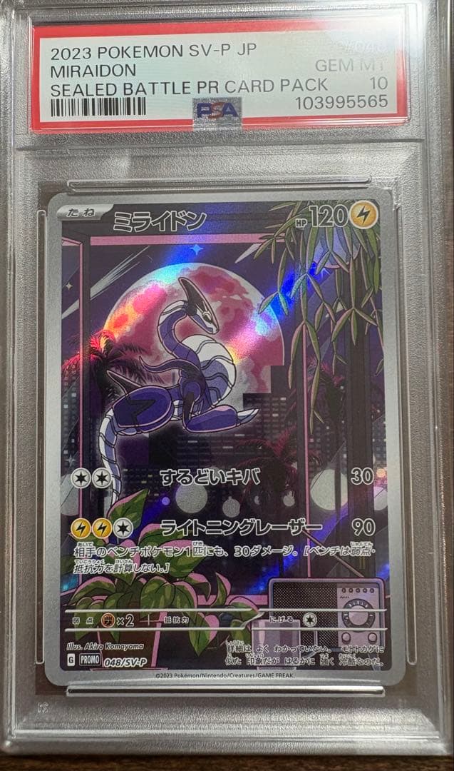 シールド戦　ミライドン　コライドン　AR PSA10 連番