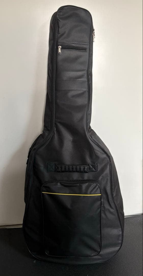 Aria pro2 viper vp-400 ケース　ストラップ　教科書付き