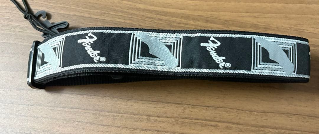 Aria pro2 viper vp-400 ケース　ストラップ　教科書付き