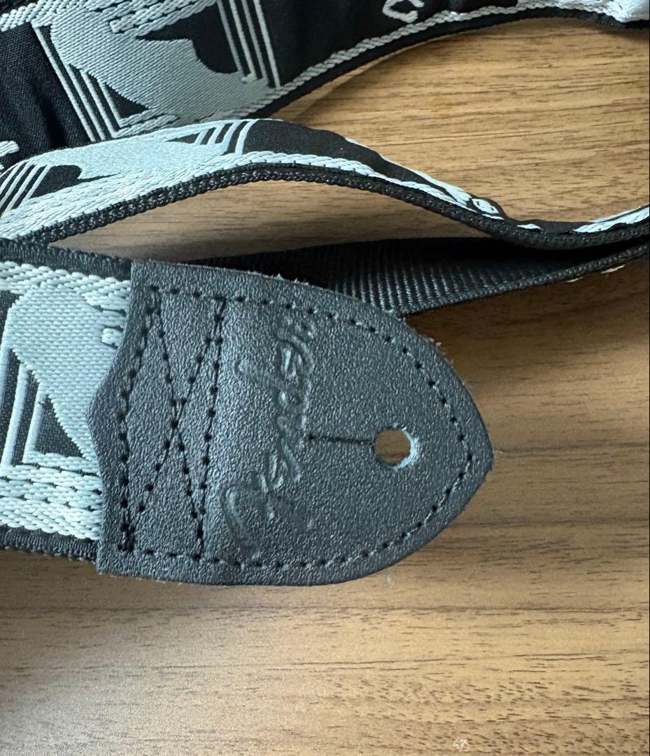 Aria pro2 viper vp-400 ケース　ストラップ　教科書付き