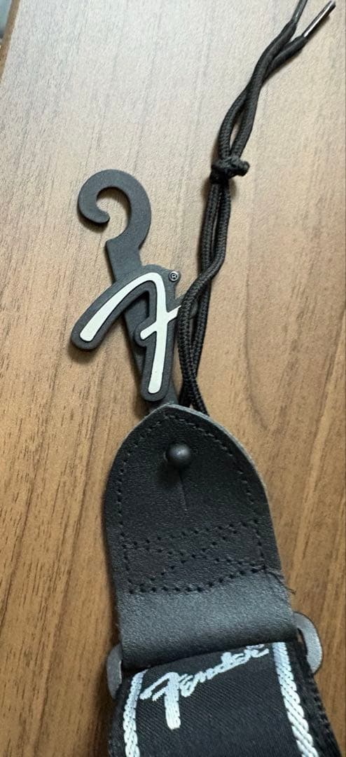 Aria pro2 viper vp-400 ケース　ストラップ　教科書付き