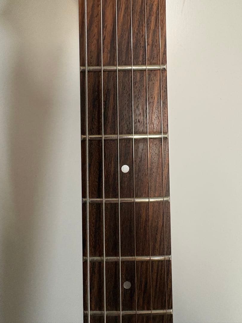 Aria pro2 viper vp-400 ケース　ストラップ　教科書付き