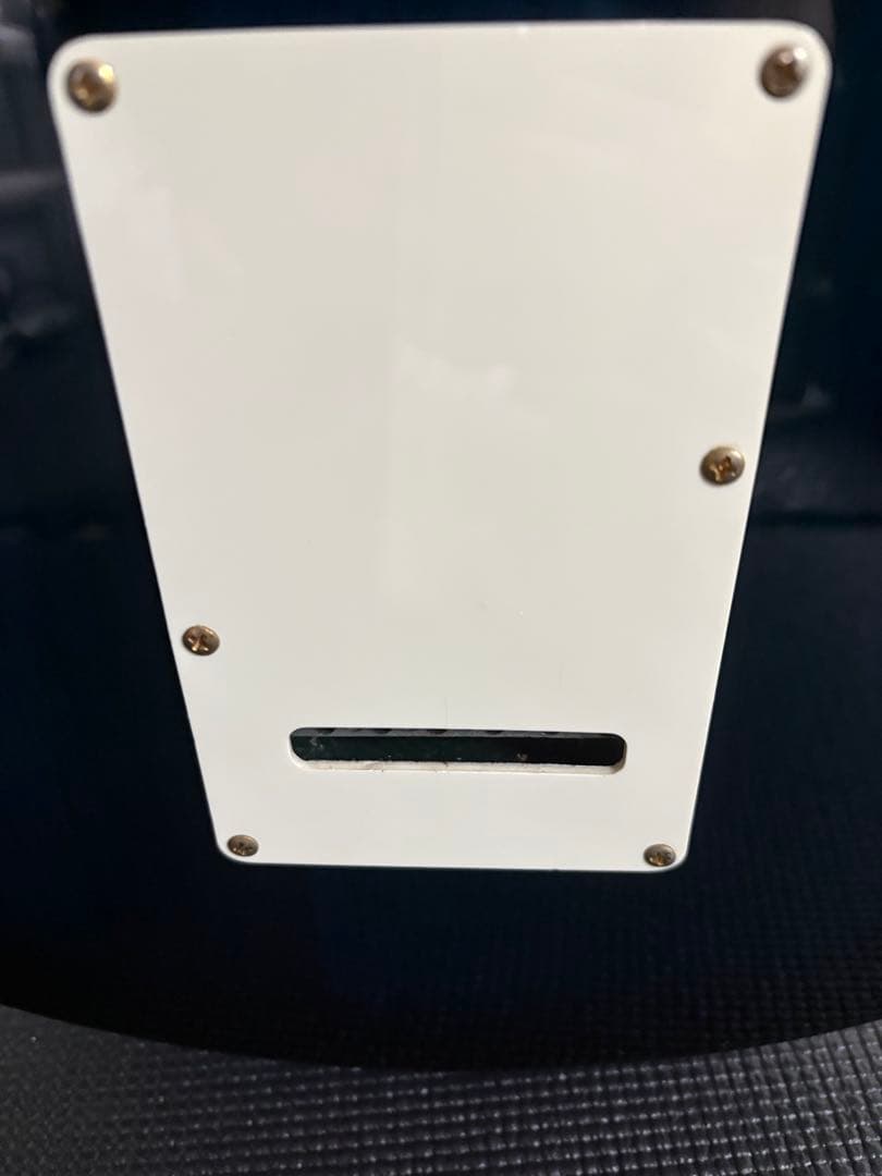 Aria pro2 viper vp-400 ケース　ストラップ　教科書付き